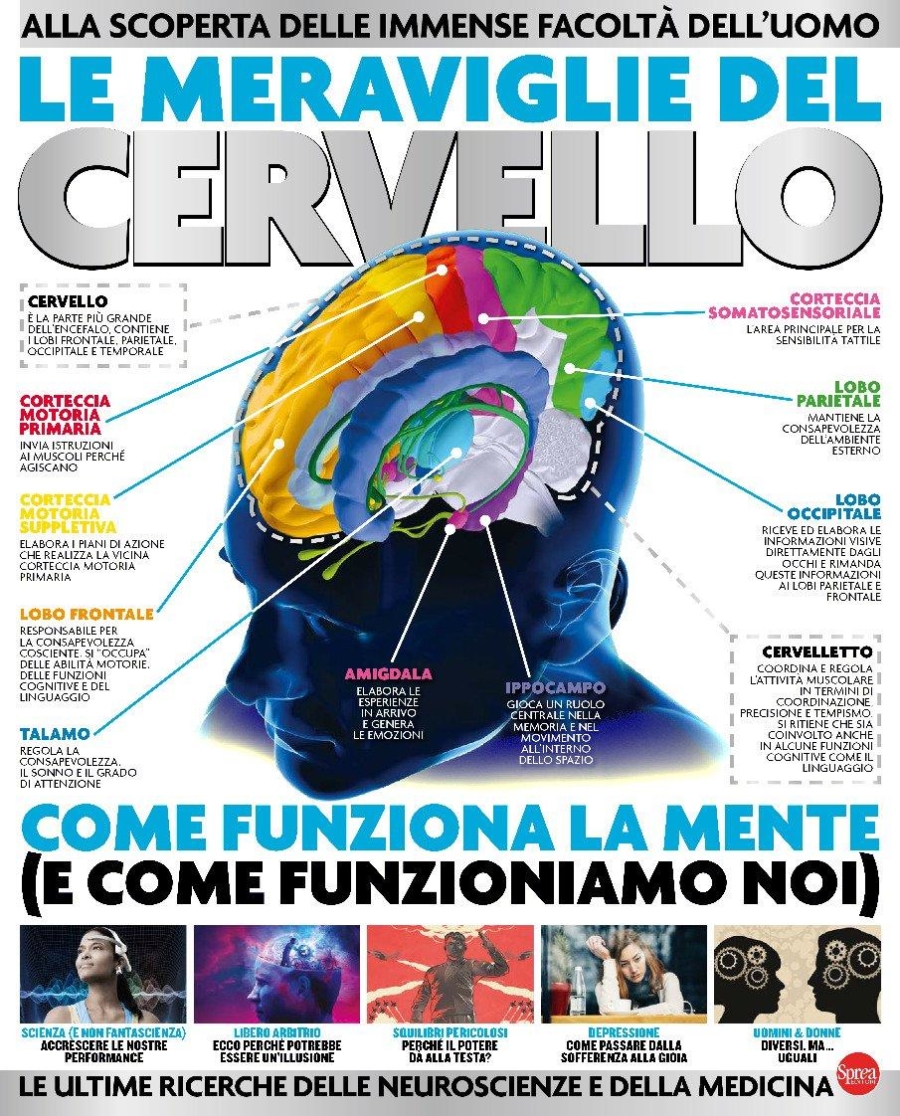 Copertina Science World Focus Domande e Risposte n.11