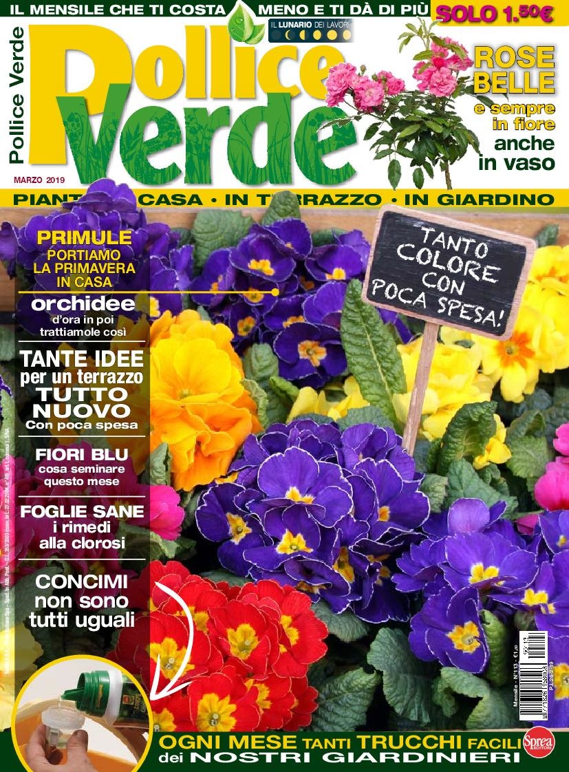 Copertina Pollice Verde n.113