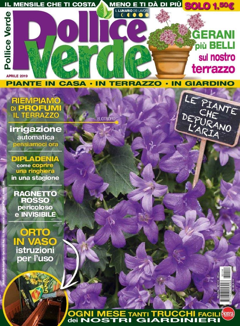 Copertina Pollice Verde n.114