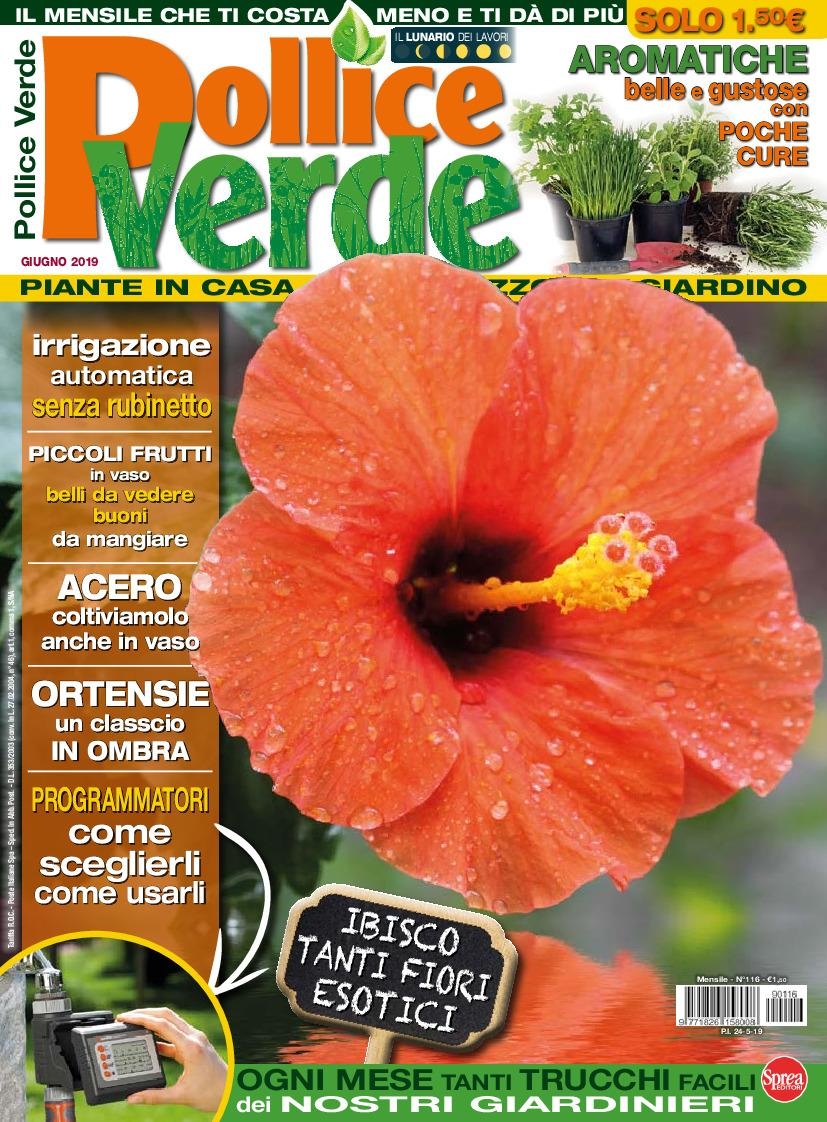 Copertina Pollice Verde n.116