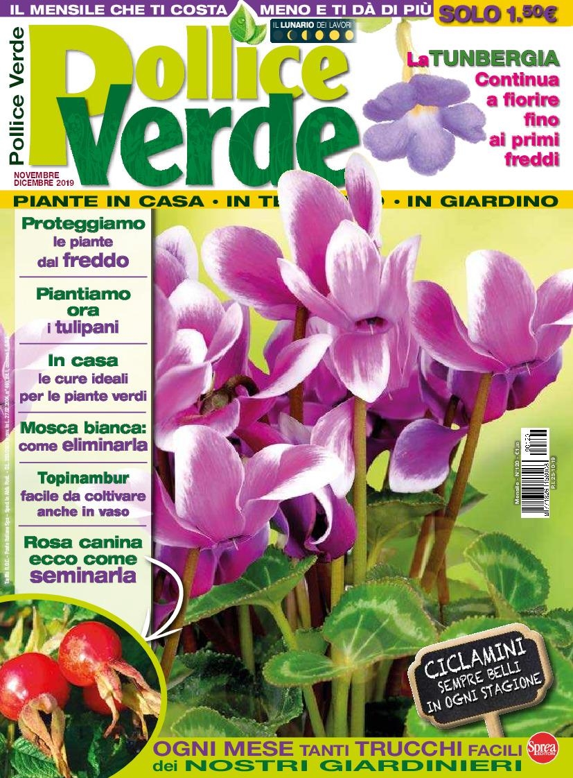 Copertina Pollice Verde n.120