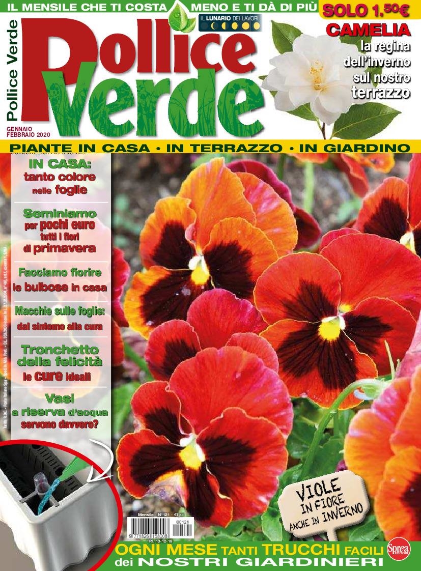 Copertina Pollice Verde n.121