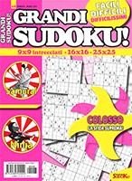 Copertina Grandi Sudoku n.48