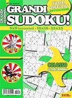 Copertina Grandi Sudoku n.49