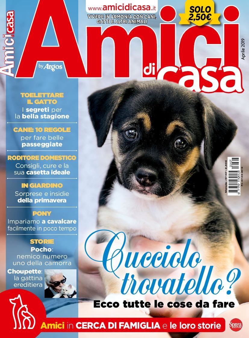 Copertina Amici di Casa n.167