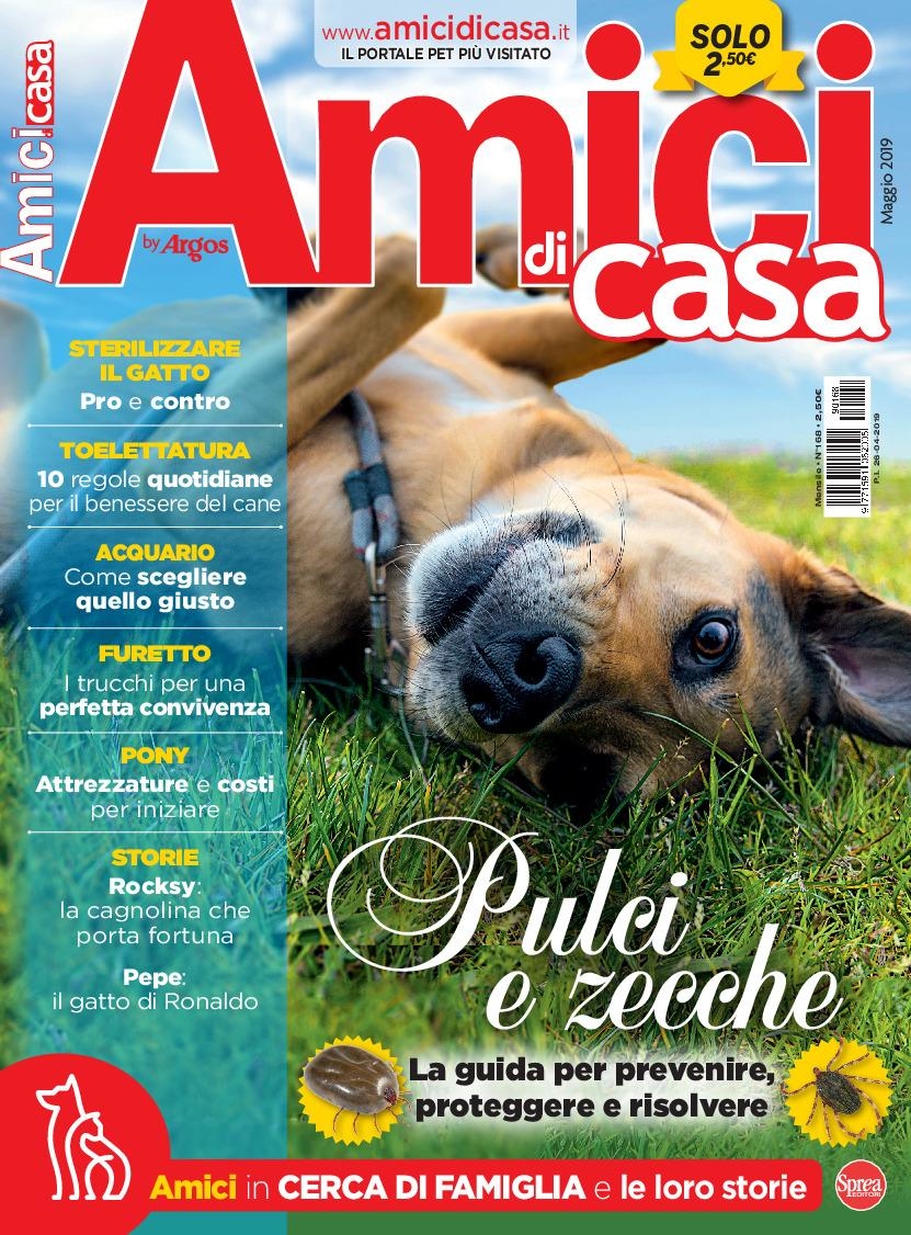 Copertina Amici di Casa n.168