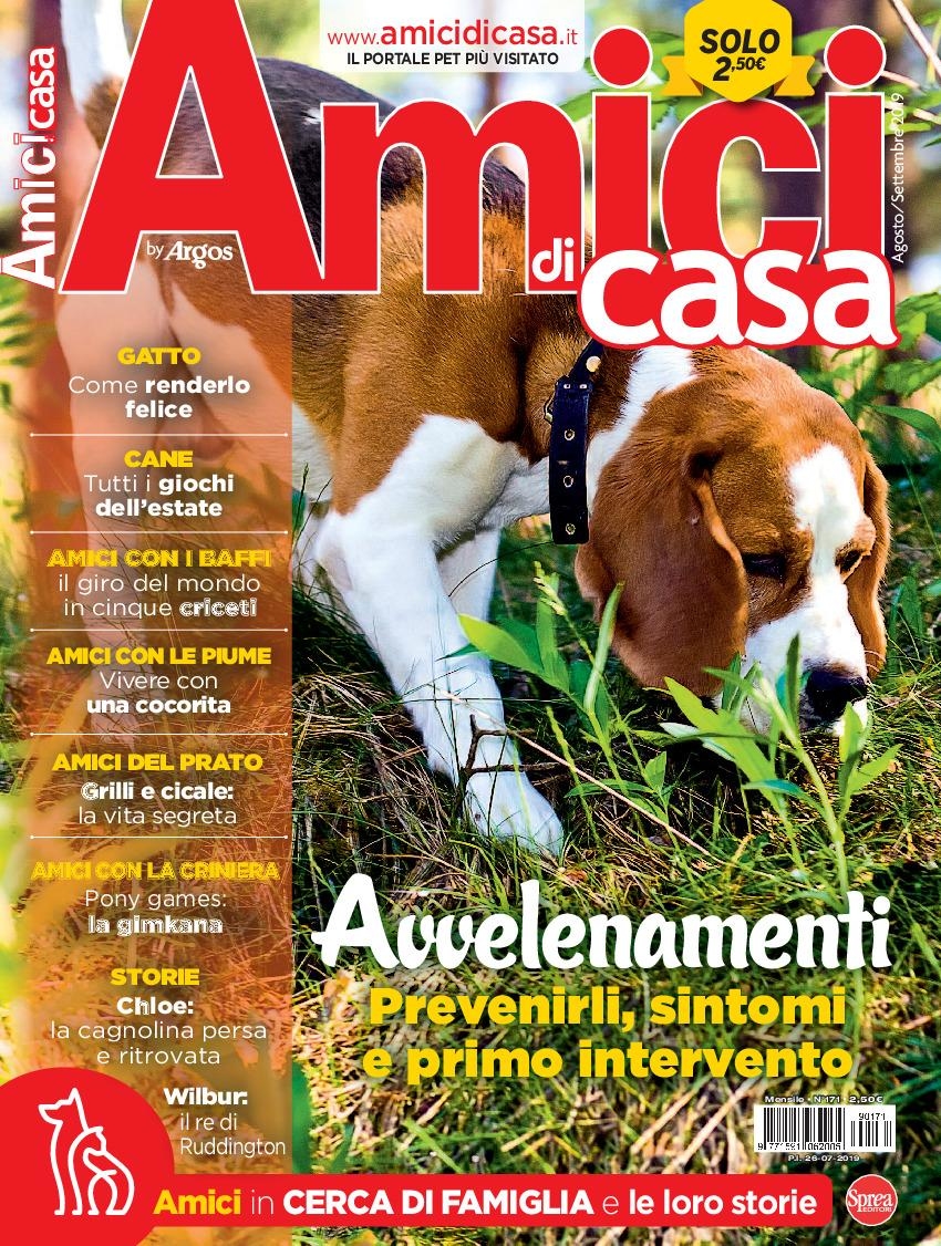 Copertina Amici di Casa n.171