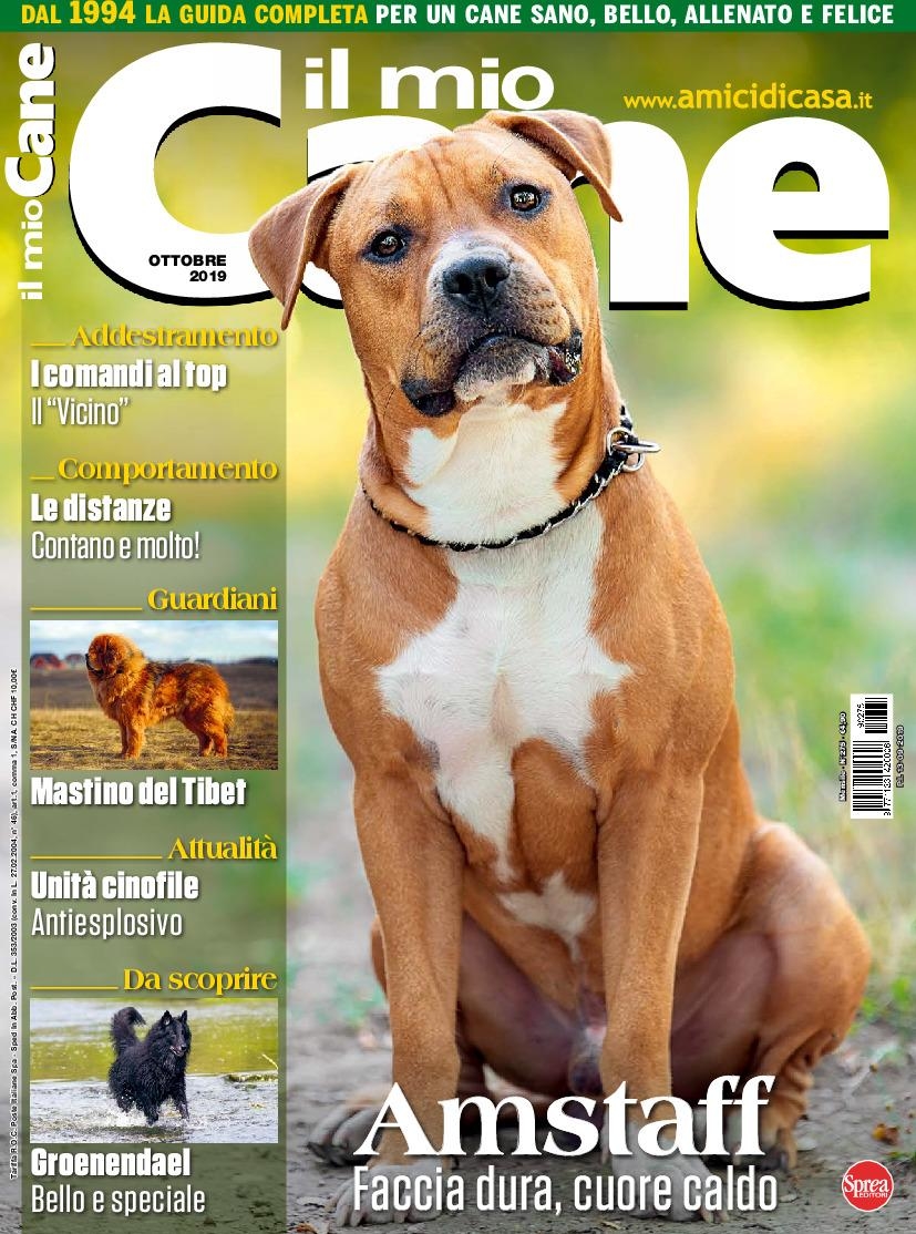 Copertina Il Mio Cane n.275