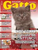 Copertina rivista Gatto Magazine
