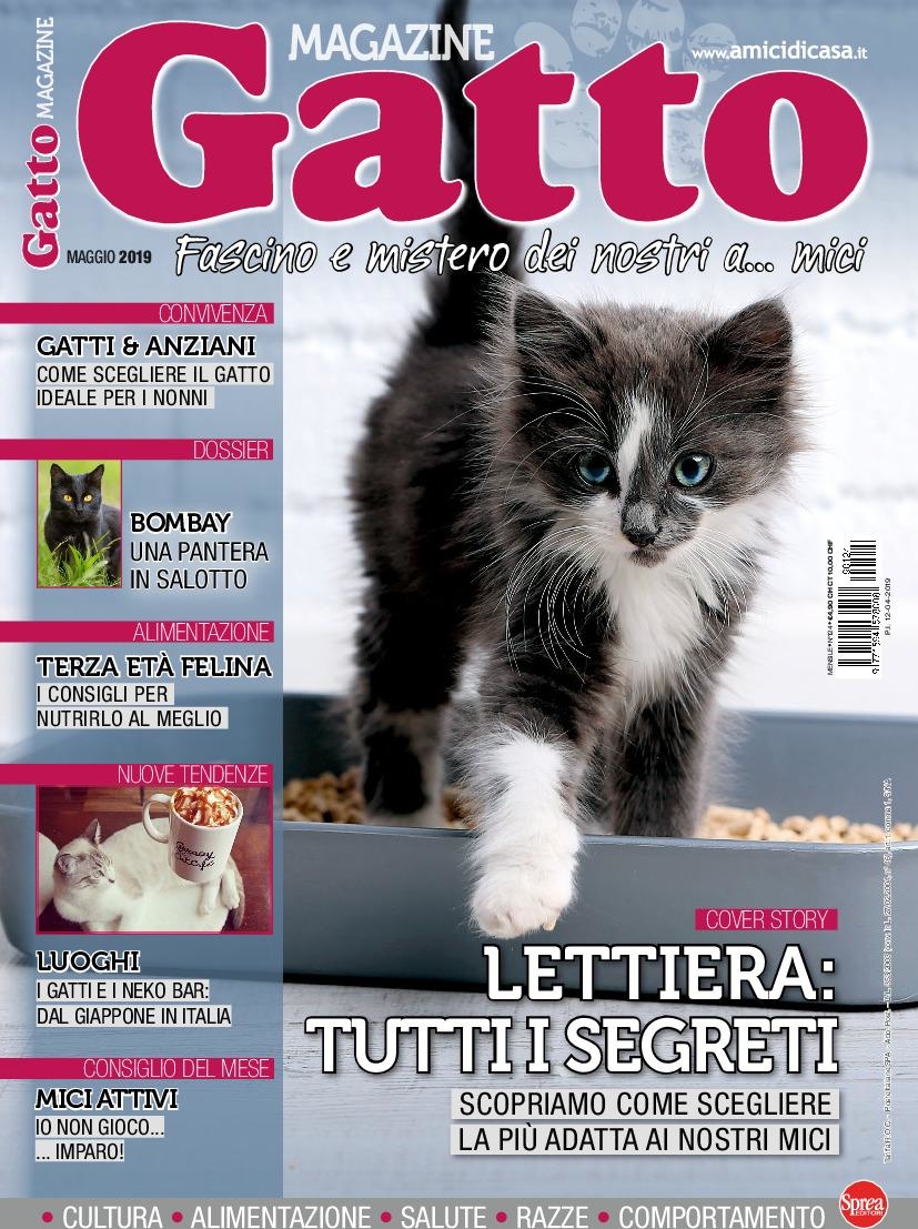 Copertina Gatto Magazine n.124