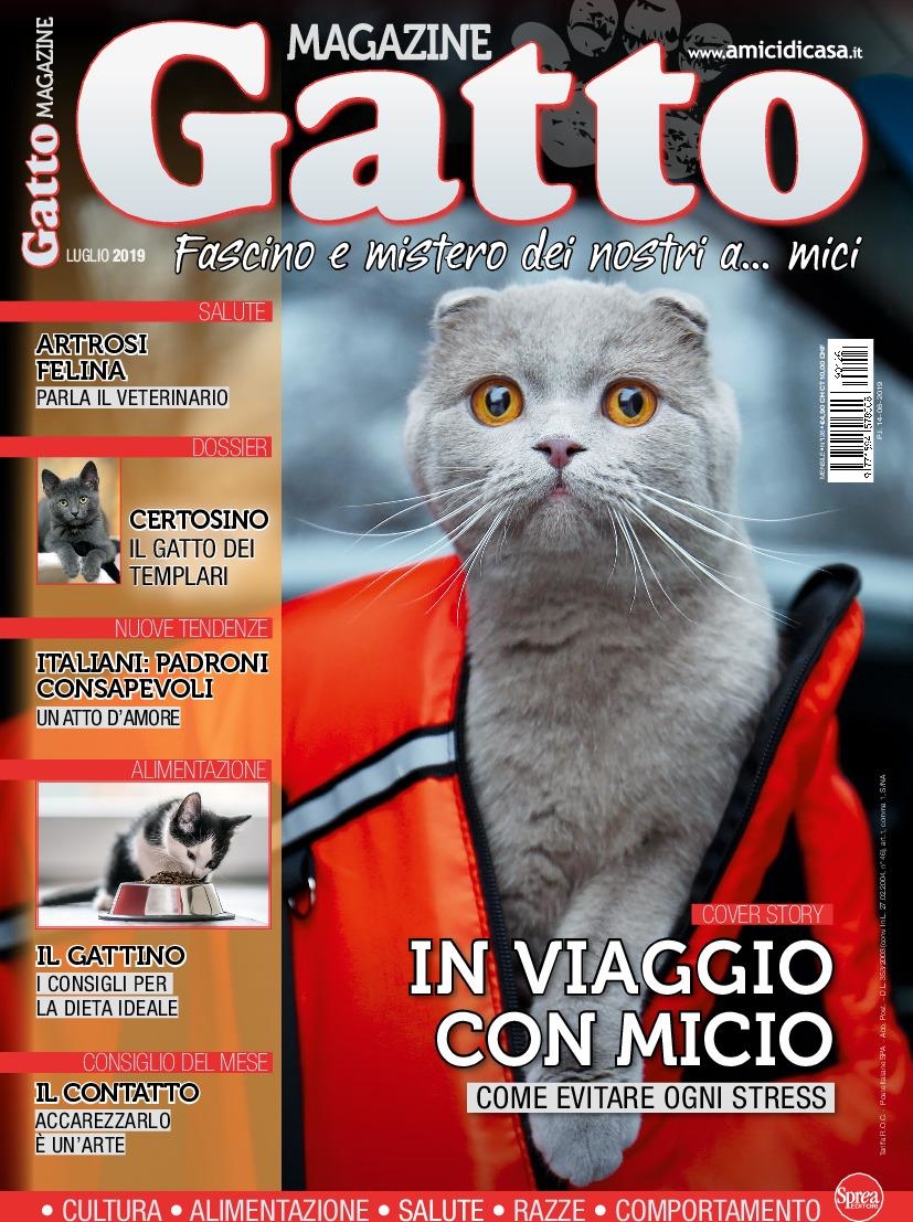 Copertina Gatto Magazine n.126