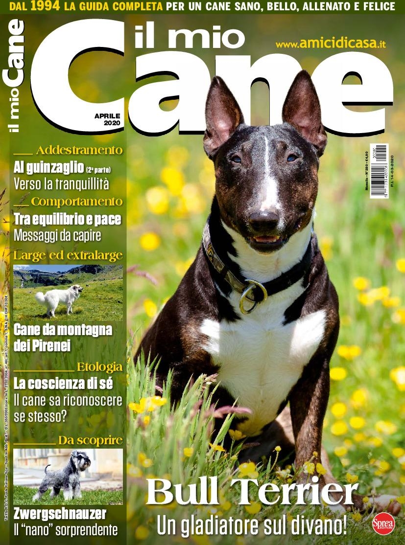 Copertina Il Mio Cane n.280