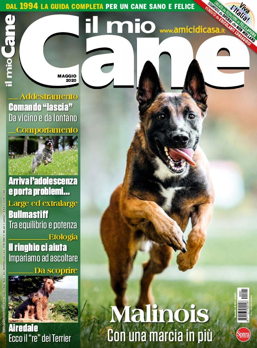 Copertina Il Mio Cane n.281