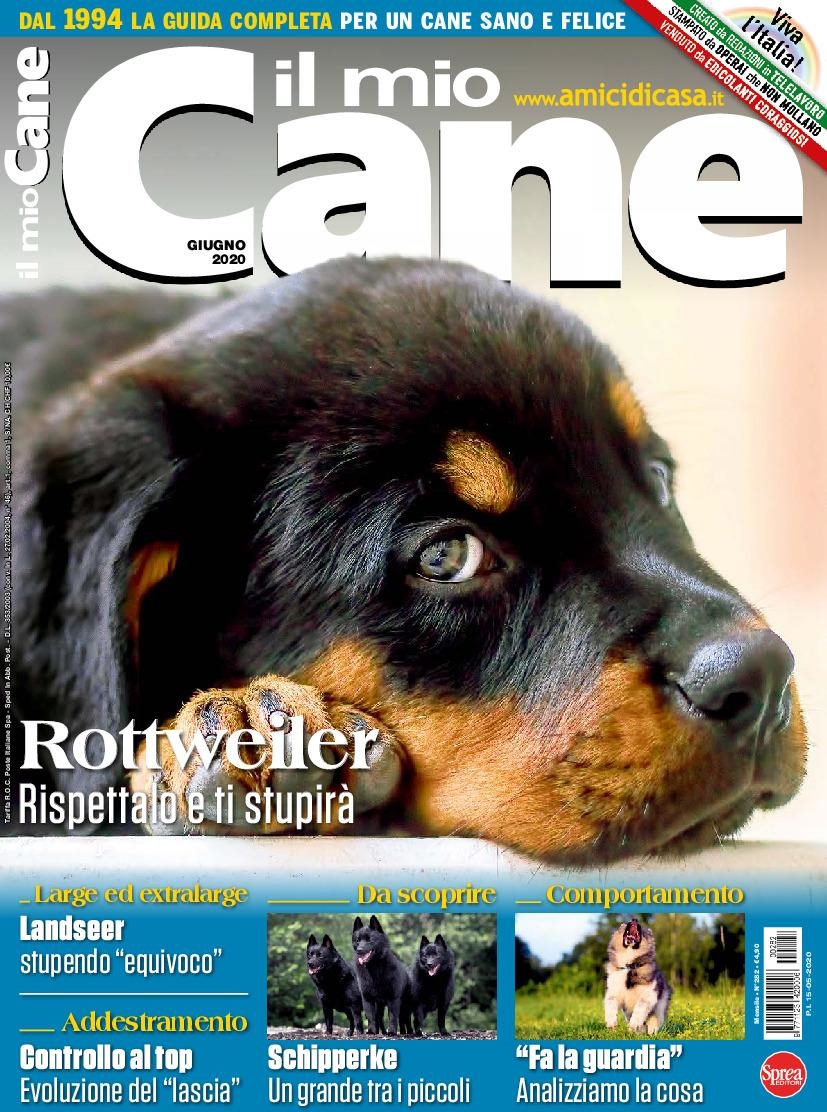 Copertina Il Mio Cane n.282