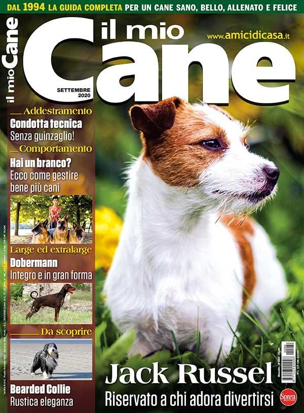 Copertina Il Mio Cane n.284
