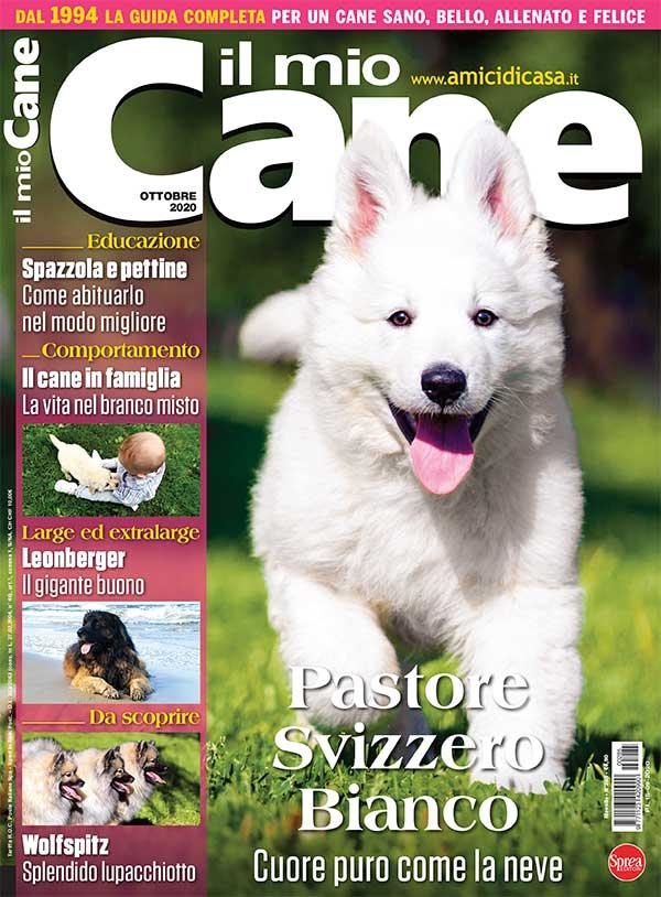 Copertina Il Mio Cane n.285