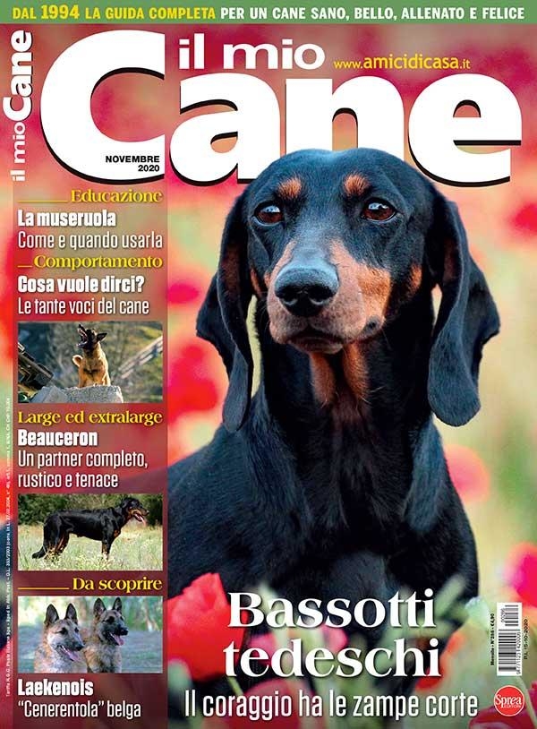 Copertina Il Mio Cane n.286