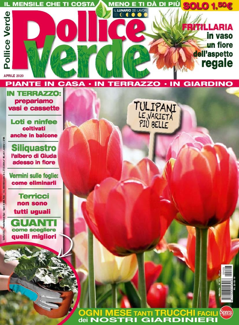 Copertina Pollice Verde n.123