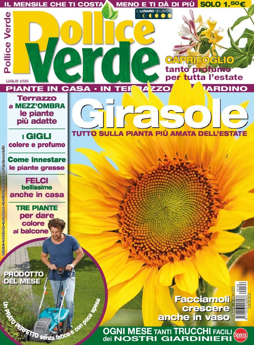 Copertina Pollice Verde n.126