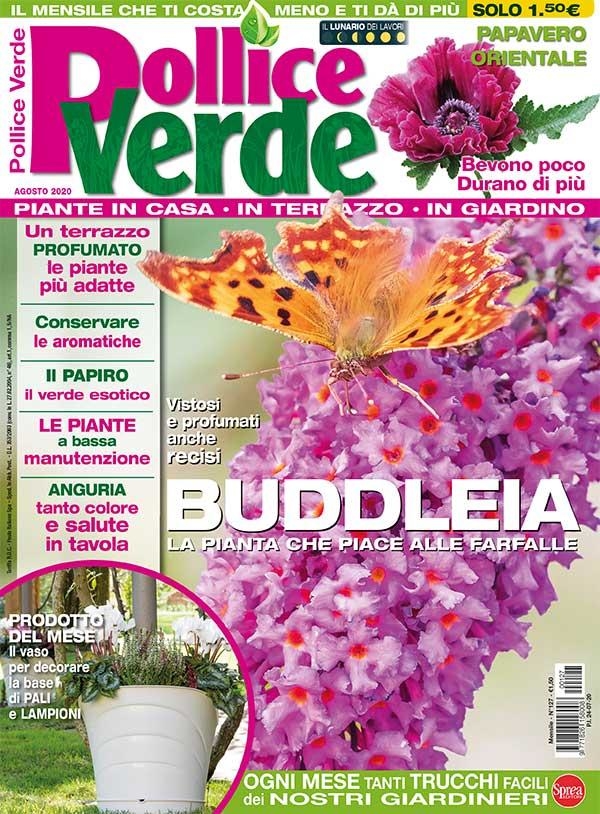 Copertina Pollice Verde n.127