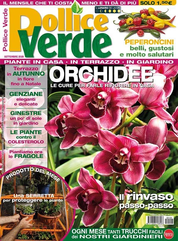 Copertina Pollice Verde n.128