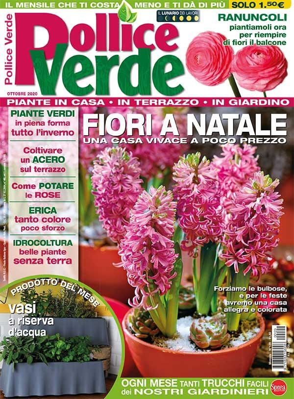 Copertina Pollice Verde n.129