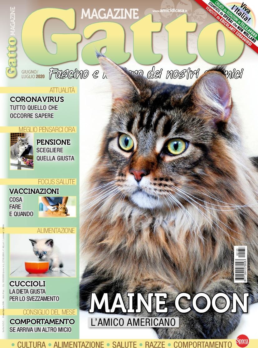 Copertina Gatto Magazine n.133
