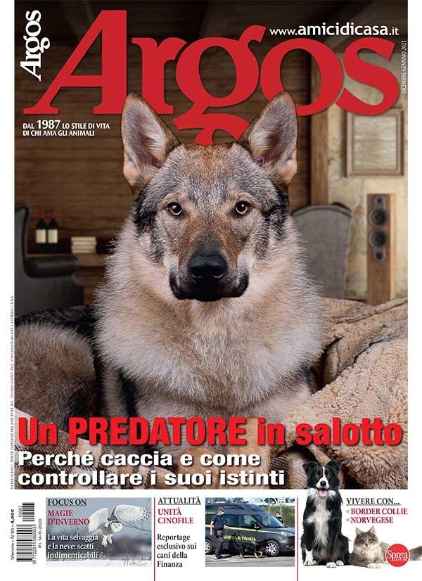 Copertina Argos n.83