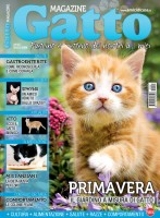 Copertina rivista Gatto Magazine