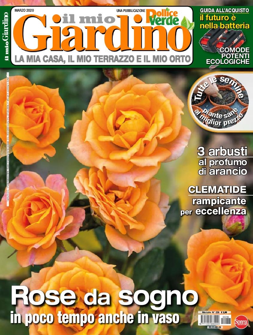 Copertina Il Mio Giardino n.236