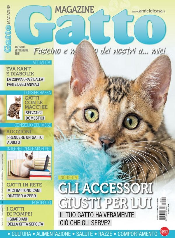 Copertina Gatto Magazine n.140