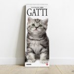 Copertina Gatto Magazine Compiega/Gatti n.10