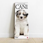 Copertina Il Mio Cane Compiega/Cani n.10