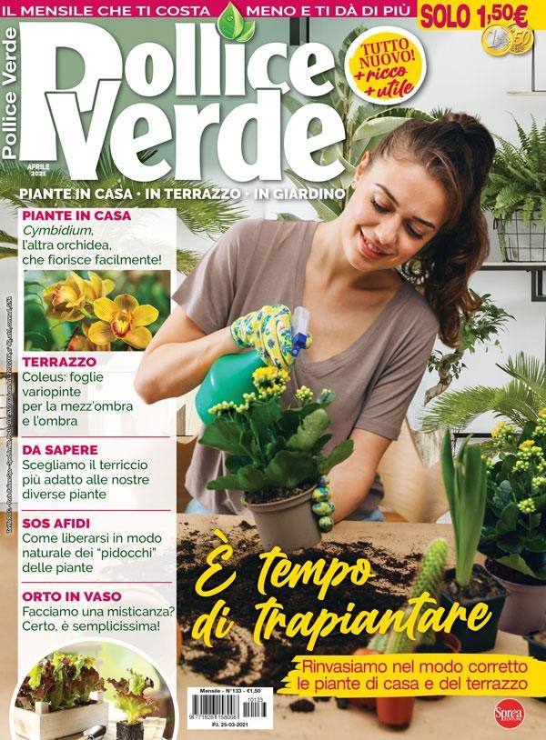 Copertina Pollice Verde n.133