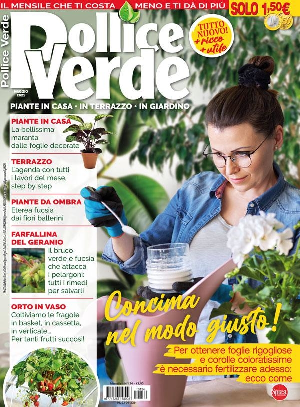 Copertina Pollice Verde n.134