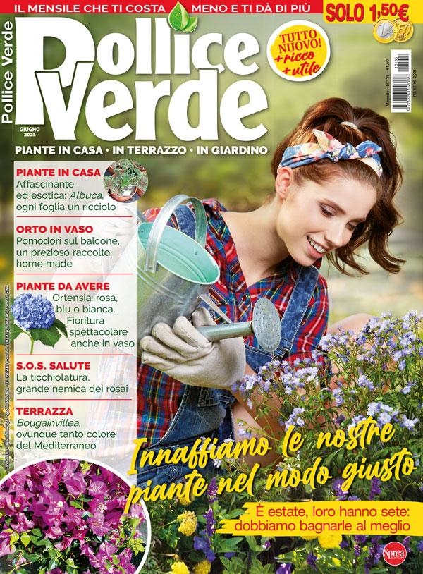 Copertina Pollice Verde n.135