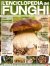 Il Mio Giardino Funghi n.5