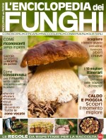 Copertina rivista Il Mio Giardino Funghi