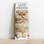 Copertina Gatto Magazine Compiega/Persiano n.9