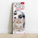 Copertina Argos Compiega/Cani e Gatti Amici n.5
