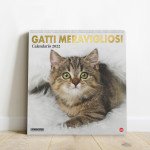Copertina Gatto Magazine Compiega/Gatti Meravigliosi n.4