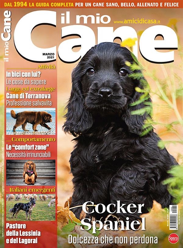 Copertina Il Mio Cane n.289