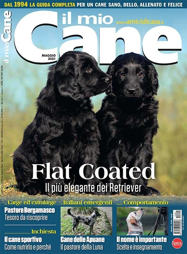 Copertina Il Mio Cane n.291