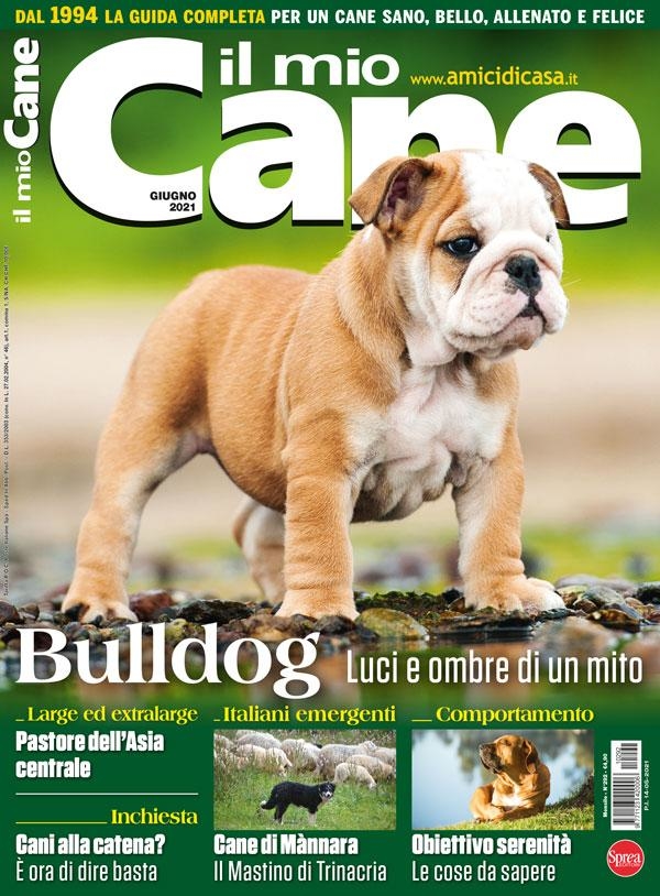 Copertina Il Mio Cane n.292