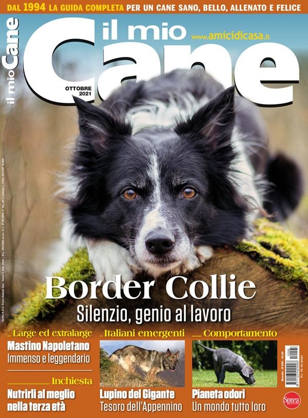 Copertina Il Mio Cane n.295