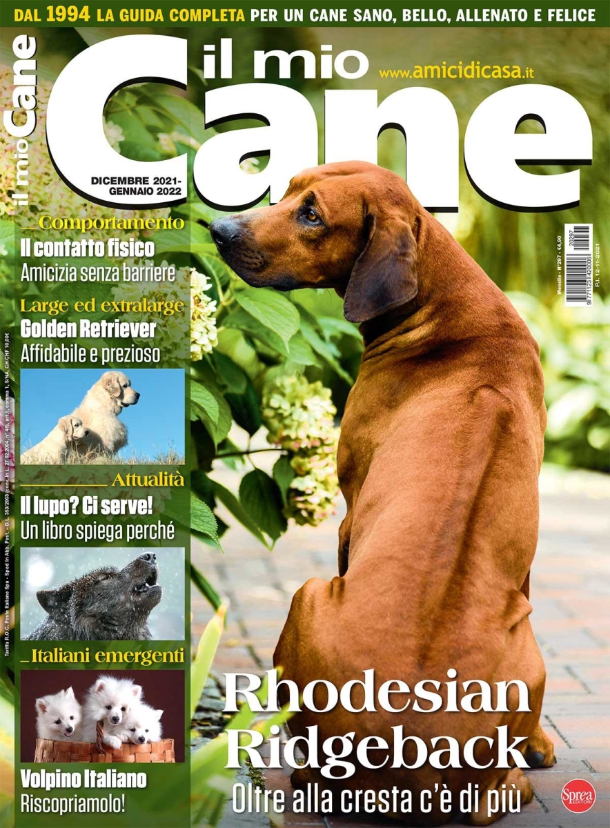 Copertina Il Mio Cane n.297