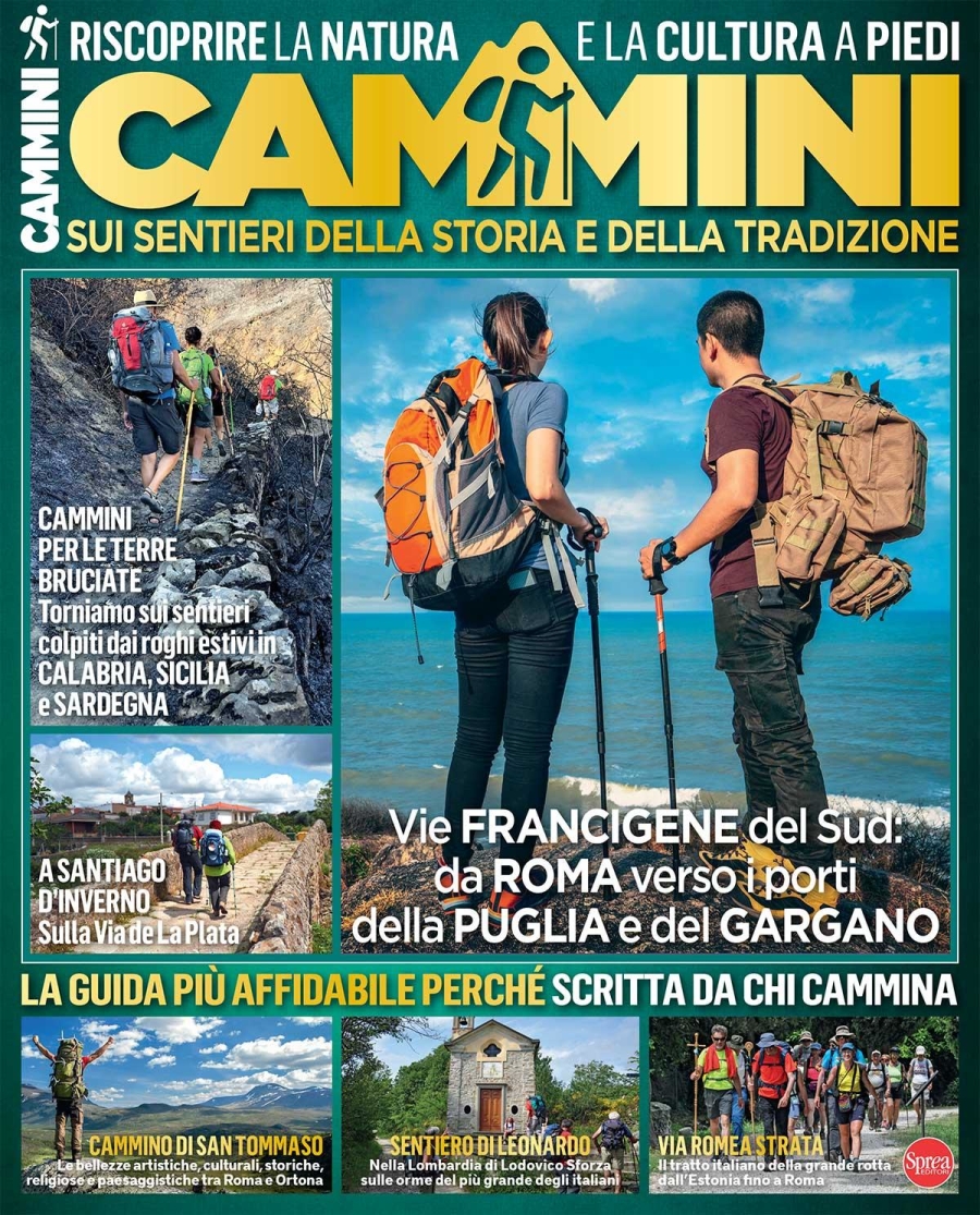 Copertina Cammini n.6