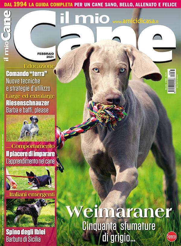 Copertina Il Mio Cane n.288