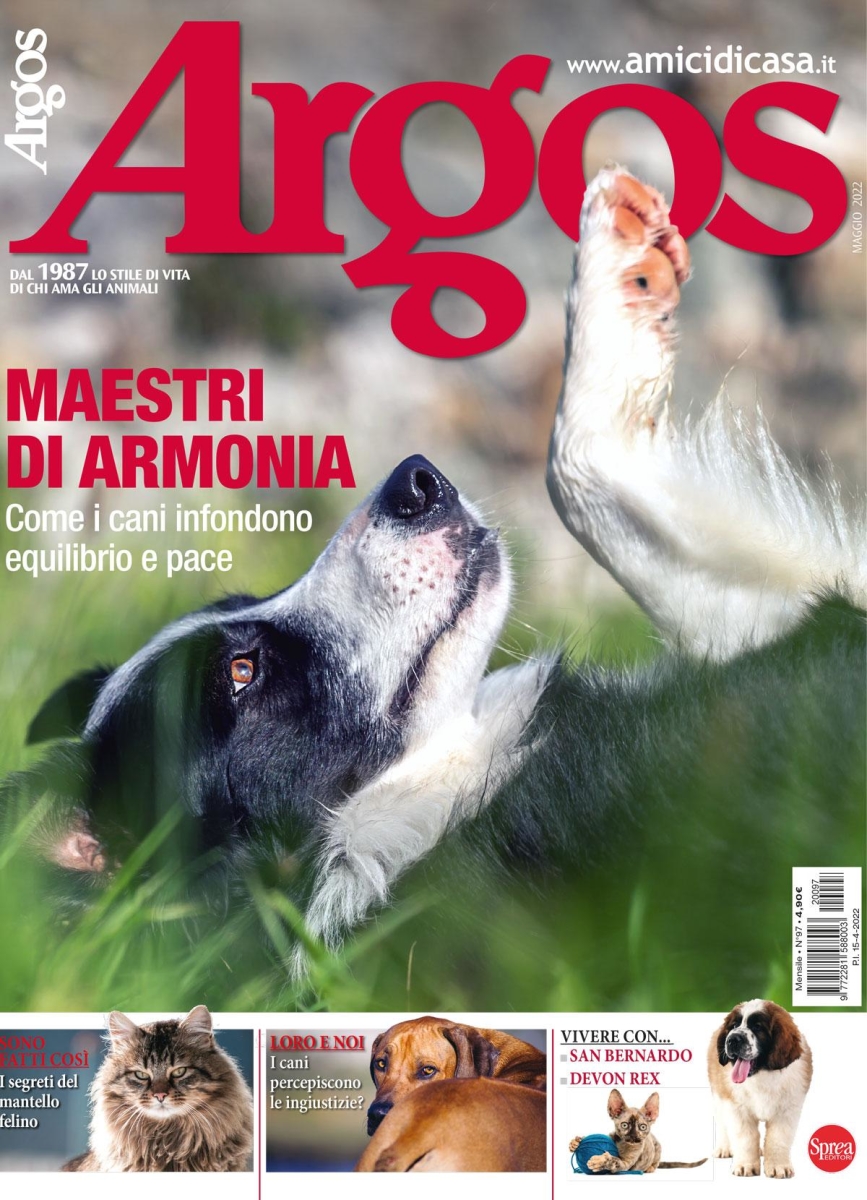 Copertina Argos n.97