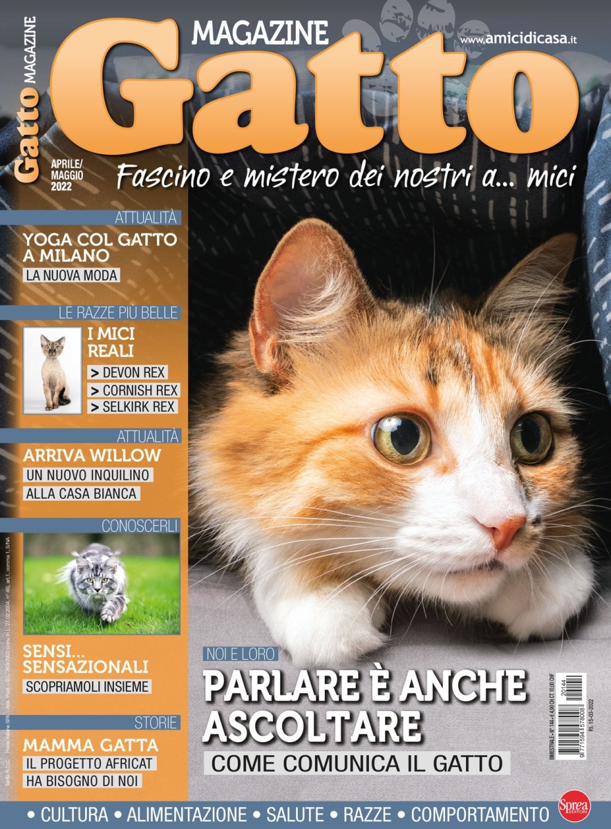 Copertina Gatto Magazine n.144